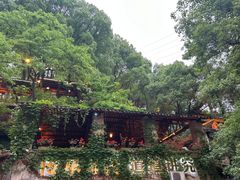 -巴倒烫陆派重庆火锅(南山店)
