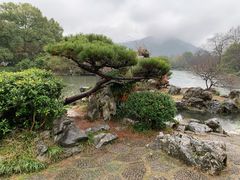 -西湖外事游船(花港观鱼码头)