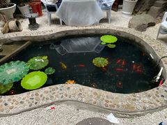 -映像威海·海鲜味道(市区店)