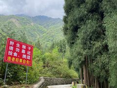 进门走了-九峰山