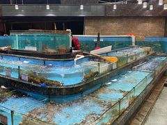 -顺风山庄(水濂山店)