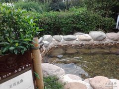 2011-08-07-苏州环秀晓筑养生度假村