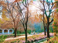 -黑龙江省森林植物园