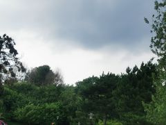 -莫子山公园
