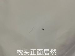 -宸玥酒店(成都西南财大地铁站店)