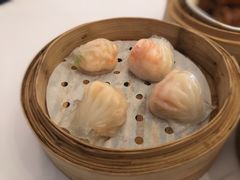 春满园鲜虾饺-春满园·早茶·粤菜·宴会(喜宴店)