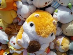 -LLJ夹机占(正佳广场店)