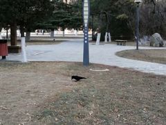 -北京邮电大学