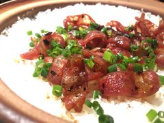 -大榕树下顺德菜(融创茂店)