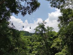 -野象谷景区