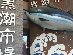 -黑潮市场