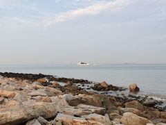 -野狸岛