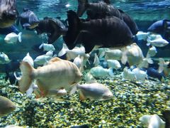 -成都浩海立方海洋公园