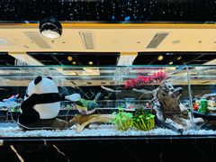 -红辣椒·川菜·火锅(张杨路店)