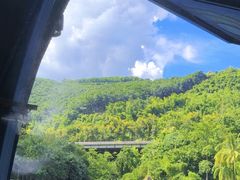 -西双版纳原始森林公园