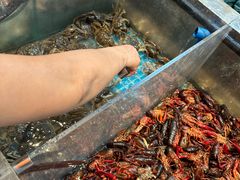 -黑金·寻焰自助百汇·烤肉·火锅(中街店)