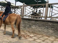 -松声马术俱乐部