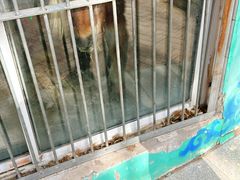 -鄂尔多斯野生动物园