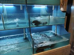 -江湖亮亮蒸虾大排档烤全羊清真(武汉总店)