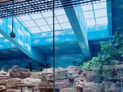 -石家庄市动物园