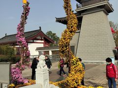 -洛阳市隋唐城遗址植物园