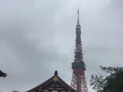 -东京塔海贼王主题公园