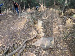 -紫金山天文台