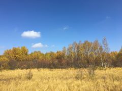 -塞罕坝国家级自然保护区