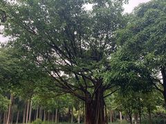 -南宁南湖公园