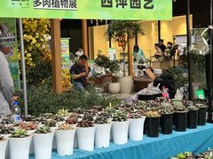 -瑞虹新天地月亮湾