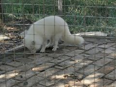 -武汉紫薇都市田园