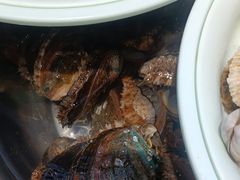 -蓝珊瑚蒸汽海鲜餐厅(龙奥店)