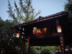 -青城甲(青城山店)