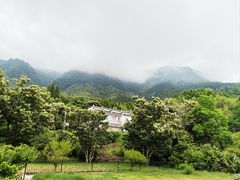-塔川景区