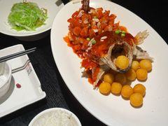 -吴越荣记苏州菜·松鼠桂鱼100%活鱼现做(月光码头店)