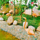 你好夏天，亿利精灵乐园！