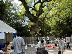 -热田神宫