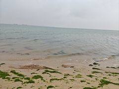 -北海金海湾红树林生态旅游区