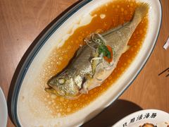 -波螺油子青岛本帮菜(银座店)