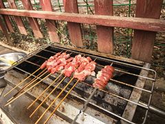 -尚庄度假村·庭台树下·户外烧烤·团建CS·轰趴营地(上庄水库店)