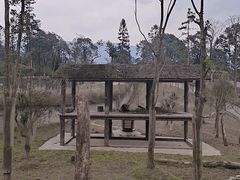 -中国大熊猫保护研究中心雅安碧峰峡基地