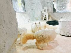 -珠海长隆海洋王国