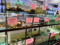 水产区-联邦酒楼