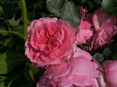 -长春公园(普阳街道)