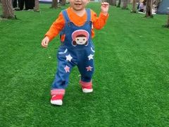 -草根堂农场