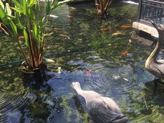 -鹅公村·国家非遗传承(荔湾店)