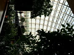 android_upload_pic-国家大剧院西餐厅