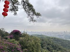 -广州市白云山风景名胜区