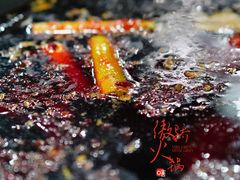 红锅锅底-星鸿社重庆老火锅