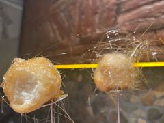 -金掌勺东北菜(格兰晴天店)